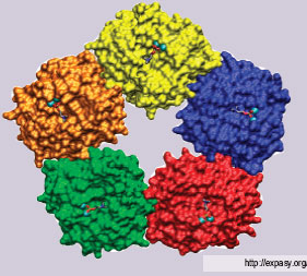 �-���������� �����