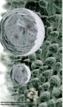 ������������: ������� ����� ������������� ����� ��������