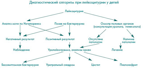 Medicus Amicus - Инфекции органов мочевой системы у детей