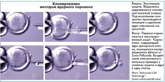 Интересные факты из современной жизни и науки 272b