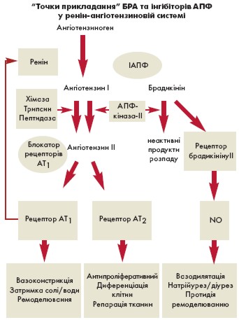 http://www.medicusamicus.com/data/images/319a.jpg