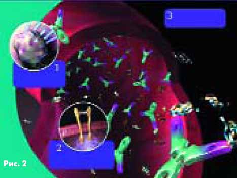 ����� ����������� � ������� ����