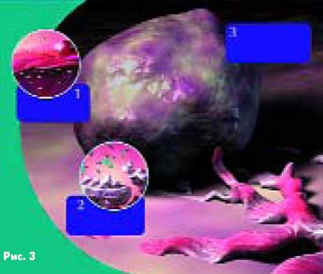 ����� ����������� � ������� ����