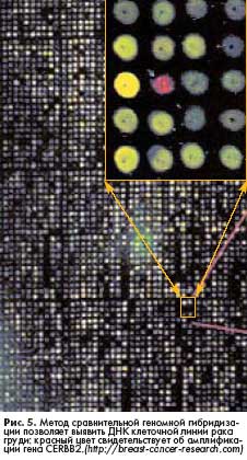 ����� � ����������� �������� �������� ������