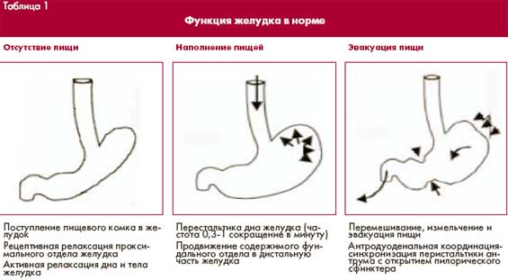 как сварить диетический суп