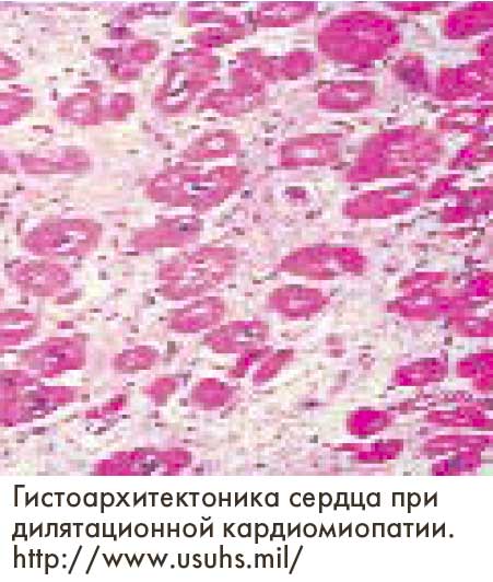 ���� �������� �������� � �������� ������������� ��������������