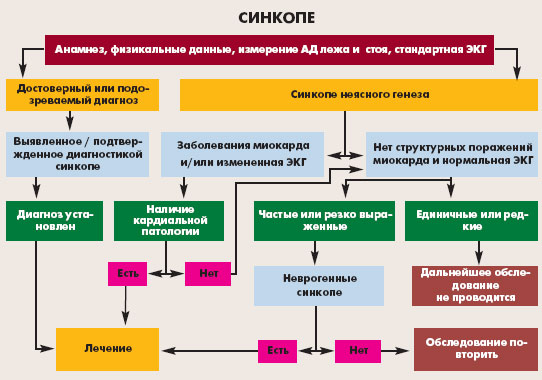 Синкопальные состояния в кардиологической практике