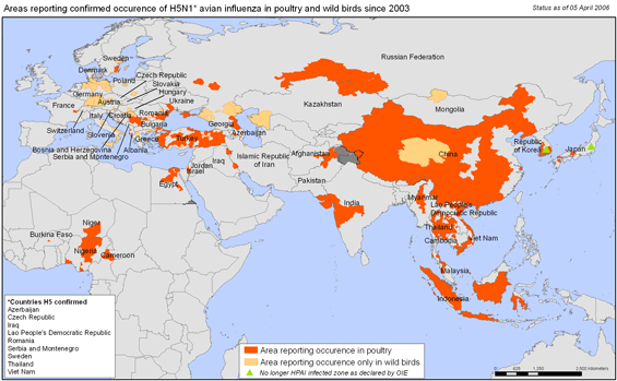 ̳    H5N1  2003 
