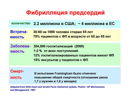      The 2nd ISHNE Heart Failure World-Wide Internet Symposium