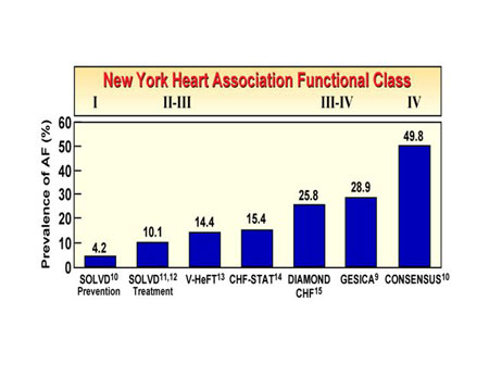      The 2nd ISHNE Heart Failure World-Wide Internet Symposium