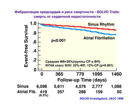      The 2nd ISHNE Heart Failure World-Wide Internet Symposium