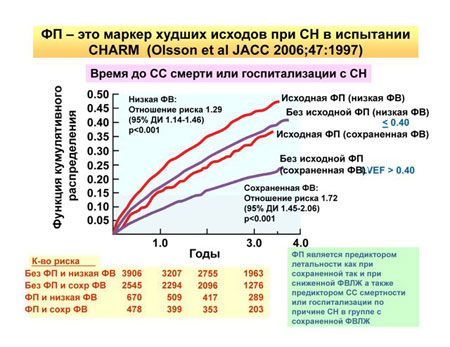      The 2nd ISHNE Heart Failure World-Wide Internet Symposium