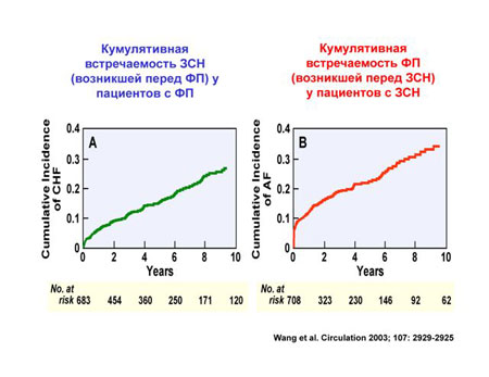      The 2nd ISHNE Heart Failure World-Wide Internet Symposium