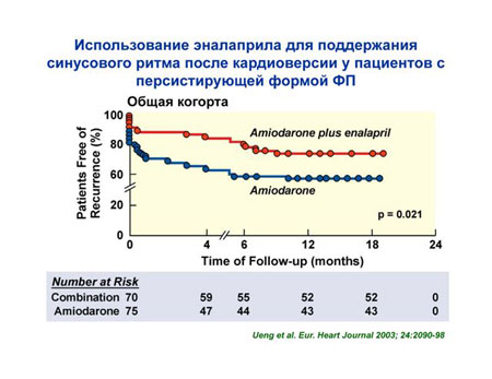      The 2nd ISHNE Heart Failure World-Wide Internet Symposium