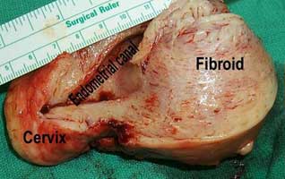 ������������ �����